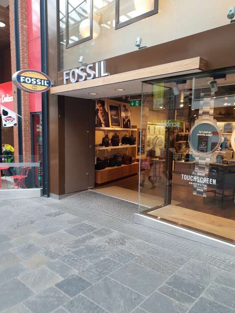 Fossil Store photo