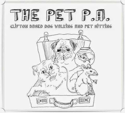 The Pet P.A. photo